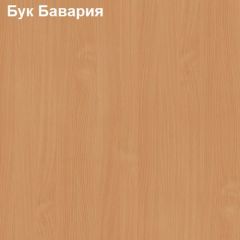 Антресоль для узкого шкафа Логика Л-14.2 в Воткинске - votkinsk.mebel24.online | фото 2