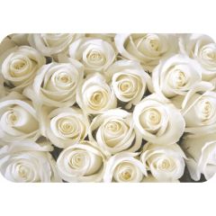 БОСТОН - 3 Стол раздвижной 1100/1420 опоры Брифинг в Воткинске - votkinsk.mebel24.online | фото 38