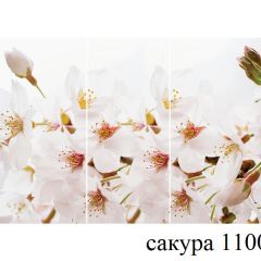 БОСТОН - 3 Стол раздвижной 1100/1420 опоры Триумф в Воткинске - votkinsk.mebel24.online | фото 40