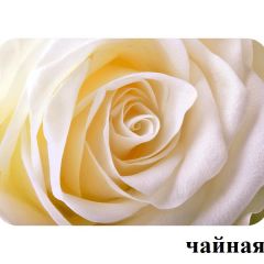 БОСТОН - 3 Стол раздвижной 1100/1420 опоры Триумф в Воткинске - votkinsk.mebel24.online | фото 47