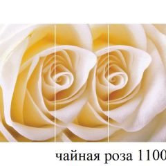 БОСТОН - 3 Стол раздвижной 1100/1420 опоры Триумф в Воткинске - votkinsk.mebel24.online | фото 48