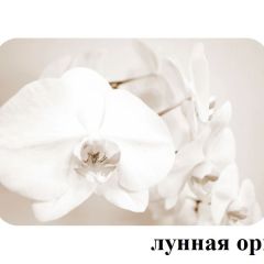 БОСТОН - 3 Стол раздвижной Лунная орхидея 1100/1420 опоры Триумф в Воткинске - votkinsk.mebel24.online | фото 2