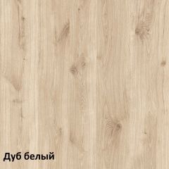 Эйп Шкаф для одежды 13.334 в Воткинске - votkinsk.mebel24.online | фото 5
