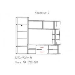 Гостиная ГАРМОНИЯ-3 (ЦРК.ГРМ.03) в Воткинске - votkinsk.mebel24.online | фото 2