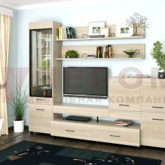 Гостиная Камелия Композиция 5 (Ясень Асахи) в Воткинске - votkinsk.mebel24.online | фото