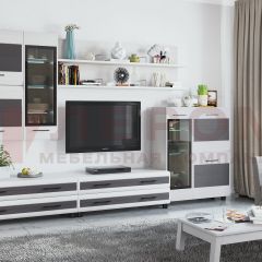 Гостиная Камелия Композиция 6 (Снежный ясень - серый) в Воткинске - votkinsk.mebel24.online | фото
