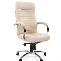 Кресло для руководителя CHAIRMAN 480 N (Экокожа) в Воткинске - votkinsk.mebel24.online | фото 5
