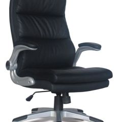 Кресло офисное BRABIX "Fregat EX-510" (рециклированная кожа, черное) 530863 в Воткинске - votkinsk.mebel24.online | фото