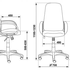 Кресло руководителя Бюрократ CH-808AXSN/G темно-серый 3C1 в Воткинске - votkinsk.mebel24.online | фото 3