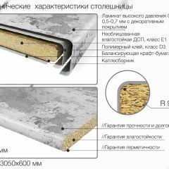 Кухонный фартук со столешницей (А-01) в едином стиле (3050 мм) в Воткинске - votkinsk.mebel24.online | фото 6