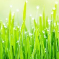 Кухонный фартук Цветы 290 МДФ матовый (3000) Flowers в Воткинске - votkinsk.mebel24.online | фото