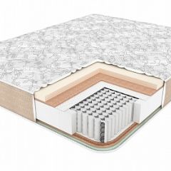 Матрас BioNative Family 40 УПРОЧНЕННЫЙ h220 в Воткинске - votkinsk.mebel24.online | фото