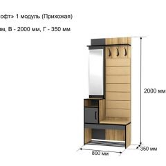 ОЛЬГА-ЛОФТ 1 Прихожая в Воткинске - votkinsk.mebel24.online | фото 4