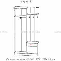 Прихожая София 8 в Воткинске - votkinsk.mebel24.online | фото 2