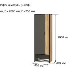 ОЛЬГА-ЛОФТ 3 Шкаф 2-х створчатый в Воткинске - votkinsk.mebel24.online | фото 4