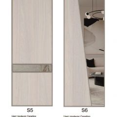 Шкаф-купе 1300 серии SILVER S3+S4+B2+PL4 (2 ящика+F обр.штанга) профиль «Серебро» в Воткинске - votkinsk.mebel24.online | фото 11
