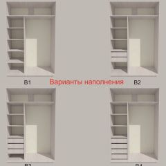 Шкаф-купе 1300 серии SILVER S3+S4+B2+PL4 (2 ящика+F обр.штанга) профиль «Серебро» в Воткинске - votkinsk.mebel24.online | фото 5