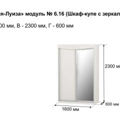 Шкаф-купе 1600 с зеркалом "Мария-Луиза 6.16" в Воткинске - votkinsk.mebel24.online | фото 4