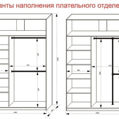 Шкаф-купе 1600 серии SOFT D6+D4+B2+PL2 (2 ящика+1штанга+1 полка) профиль «Капучино» в Воткинске - votkinsk.mebel24.online | фото 9