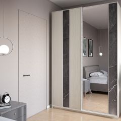 Шкаф-купе 1700 серии SILVER S4+S3Z+B2+PL1 (2 ящика+1 штанга) профиль «Серебро» в Воткинске - votkinsk.mebel24.online | фото