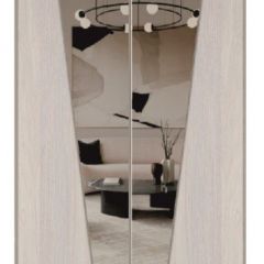 Шкаф-купе 1700 серии SILVER S4+S3Z+B2+PL1 (2 ящика+1 штанга) профиль «Серебро» в Воткинске - votkinsk.mebel24.online | фото 12