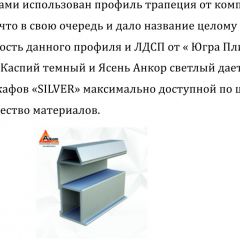 Шкаф-купе 1950 серии SILVER S3+S1+S4 B22+PL3 (по 2 ящика лев/прав+2 штанги) профиль «Серебро» в Воткинске - votkinsk.mebel24.online | фото 4