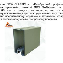 Шкаф-купе 2150 серии NEW CLASSIC K4+K4+K4+B22+PL4(по 2 ящика лев/прав+F обр.штанга) профиль «Капучино» в Воткинске - votkinsk.mebel24.online | фото 17