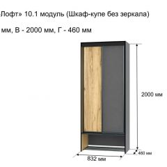 ОЛЬГА-ЛОФТ 10.1 Шкаф-купе без зеркала в Воткинске - votkinsk.mebel24.online | фото 3