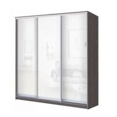 Шкаф-купе ХИТ 24-18/2-888 (620) в Воткинске - votkinsk.mebel24.online | фото 5
