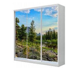 Шкаф-купе ХИТ 24-4-20-777 (420) в Воткинске - votkinsk.mebel24.online | фото 1