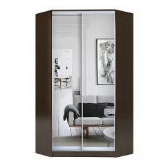 Шкаф-купе ХИТ-У-R-22-64-55 в Воткинске - votkinsk.mebel24.online | фото