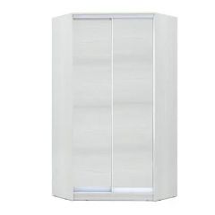 Шкаф-купе ХИТ-У-R-24-64-11 в Воткинске - votkinsk.mebel24.online | фото