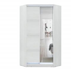 Шкаф-купе ХИТ-У-R-24-64-15 в Воткинске - votkinsk.mebel24.online | фото