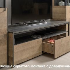 Трувор Тумба под ТВ 13.70 в Воткинске - votkinsk.mebel24.online | фото 3