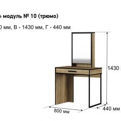 Трюмо "Лофт 10" в Воткинске - votkinsk.mebel24.online | фото 3