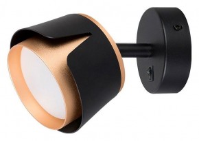 Бра Arte Lamp Amaks A8028AP-1BK в Воткинске - votkinsk.mebel24.online | фото