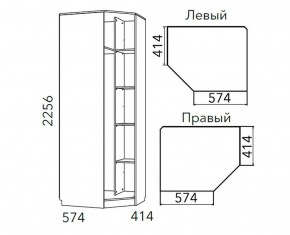 Детская Фанк Шкаф угловой Левый/Правый НМ 013.04-02 М в Воткинске - votkinsk.mebel24.online | фото 3