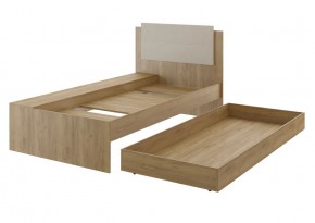 Дуглас (подростковая) М14 Кровать в Воткинске - votkinsk.mebel24.online | фото