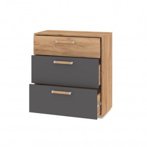 ФЛОРИДА Гостиная (модульная) дуб золотой/графит в Воткинске - votkinsk.mebel24.online | фото 10