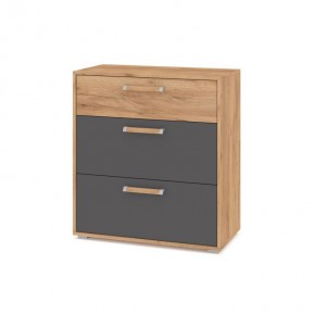 ФЛОРИДА Гостиная (модульная) дуб золотой/графит в Воткинске - votkinsk.mebel24.online | фото 8