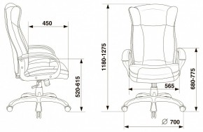 Кресло для руководителя Бюрократ CH-879N в Воткинске - votkinsk.mebel24.online | фото