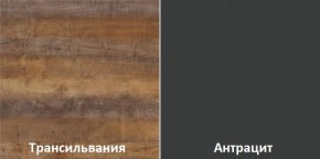 Кухонный гарнитур угловой Трансильвания 2400x1600 мм (Стол. 38 мм) в Воткинске - votkinsk.mebel24.online | фото 3