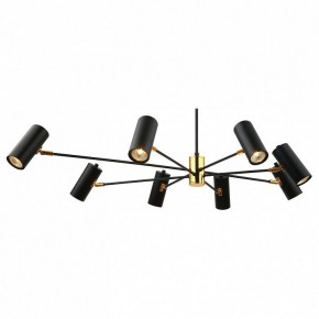 Люстра на штанге Lussole Duncan LSP-8252 в Воткинске - votkinsk.mebel24.online | фото 2