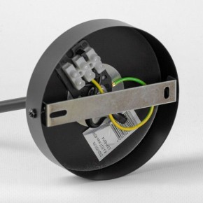 Люстра на штанге Lussole LSP-891 LSP-8914 в Воткинске - votkinsk.mebel24.online | фото 4