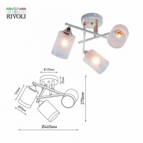 Люстра на штанге Rivoli Tammy Б0059258 в Воткинске - votkinsk.mebel24.online | фото