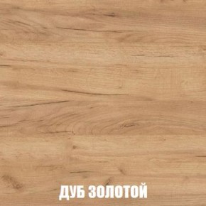 МСП-1 Шкаф 2-х створчатый (Дуб Золотой/Камень темный) в Воткинске - votkinsk.mebel24.online | фото 4