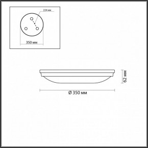 Накладной светильник Odeon Light Pelow 4956/4 в Воткинске - votkinsk.mebel24.online | фото 3