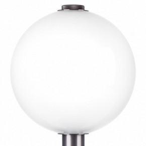 Настольная лампа декоративная Lightstar Colore 805916 в Воткинске - votkinsk.mebel24.online | фото 6