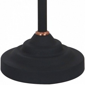 Настольная лампа офисная Arte Lamp Braccio A2054LT-1BK в Воткинске - votkinsk.mebel24.online | фото 4