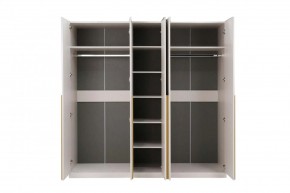НИКОЛЬ 25 Шкаф 5-ти створчатый в Воткинске - votkinsk.mebel24.online | фото 3